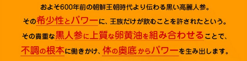 y`ɂ񂶂񗑉zTCg